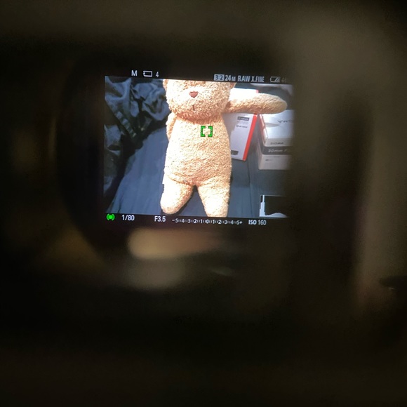 Sony a6100 and lenses - Picture 6 of 7